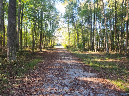 21670 Al Highway 71, Flat Rock, AL, 35966-5317 | Card Image