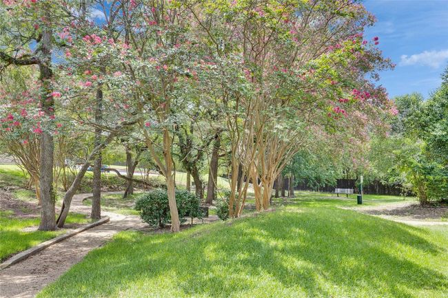 View of grassy yard | Image 31