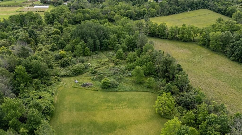 Land in Conesus 3