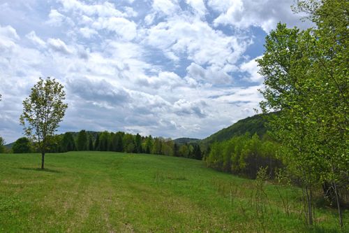 Lot B Windmill Ln, Williamstown, VT, 05679 | Card Image