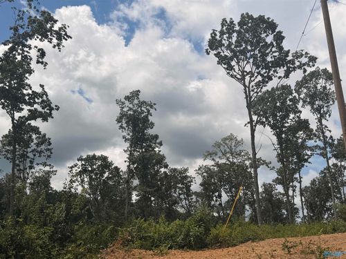 Lot 10 County Road 641, Mentone, AL, 35984-2866 | Card Image