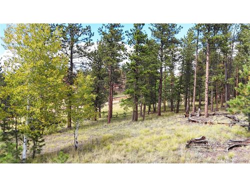 2265 Vagabond Creek Dr, Lake George, CO, 80827-9017 | Card Image