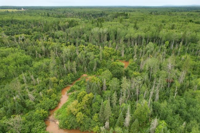 16499 Hwy 45, Home with 0 bedrooms, 0 bathrooms and null parking in Bruce Crossing MI | Image 12