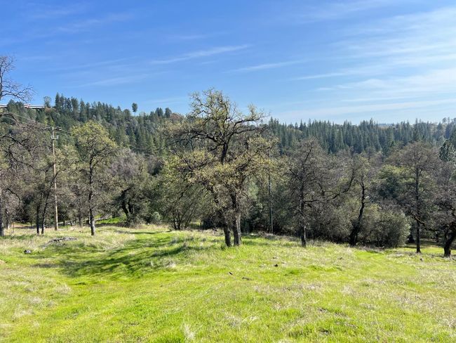 18907 Shake Ridge Rd, Home with 0 bedrooms, 0 bathrooms and null parking in Sutter Creek CA | Image 7