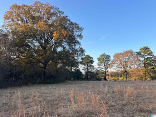 11-acres-11 Acres Riser Mill Road, ALPINE, AL, 35014 | Card Image