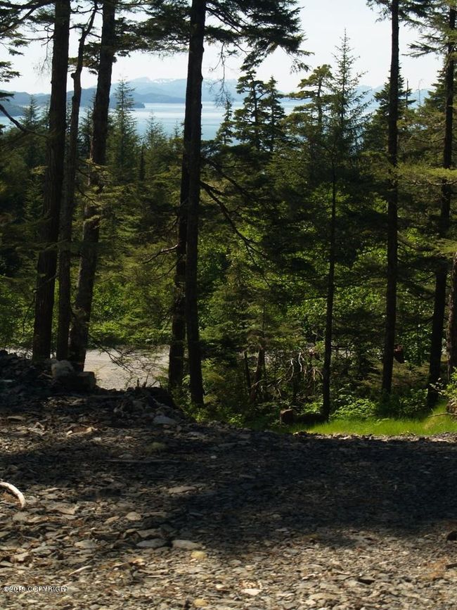 partial view of Orca Inlet | Image 7