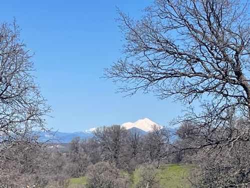 LOT 59 Pimlico Ct, Cottonwood, CA, 96022 | Card Image