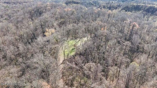 20250707195752883963000000-o | Image 22