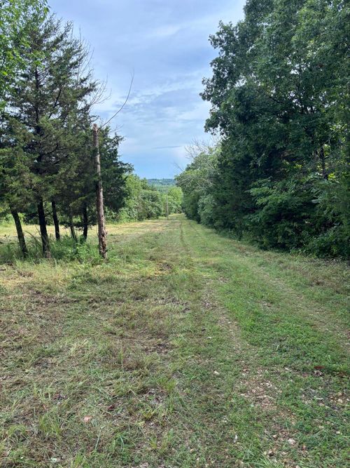 000 Highway T, Weaubleau, MO, 65774 | Card Image