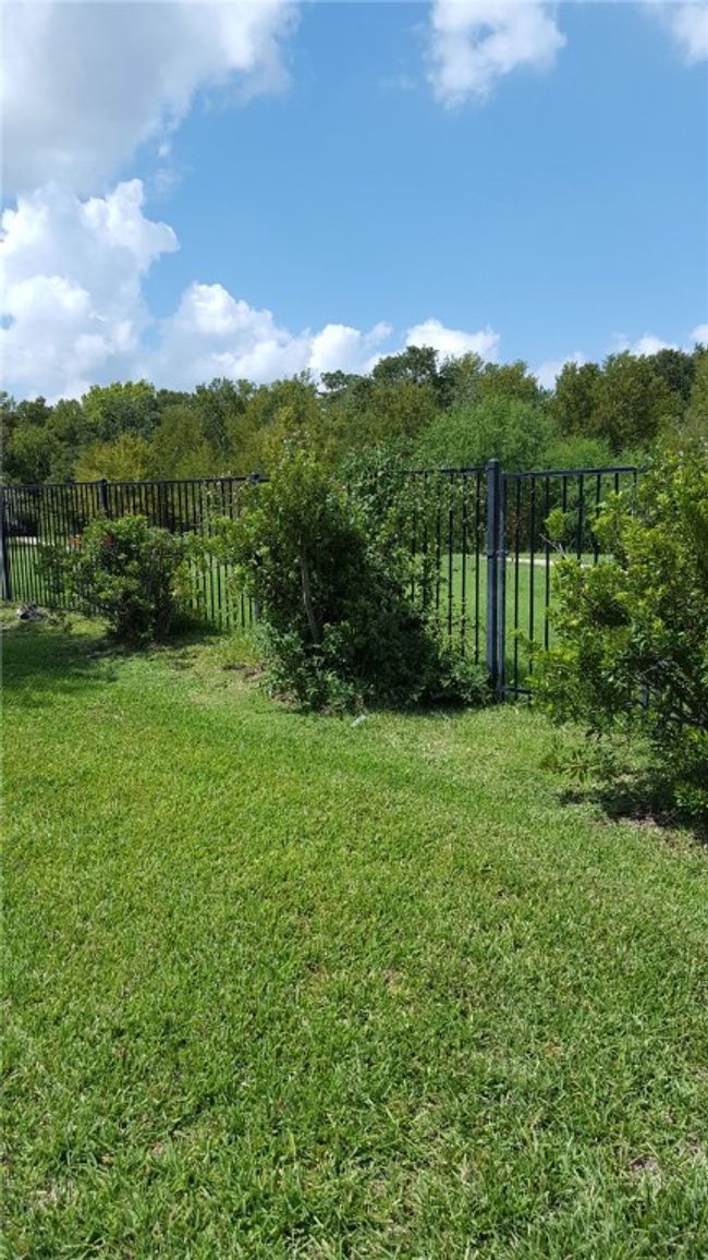 View of yard | Image 18