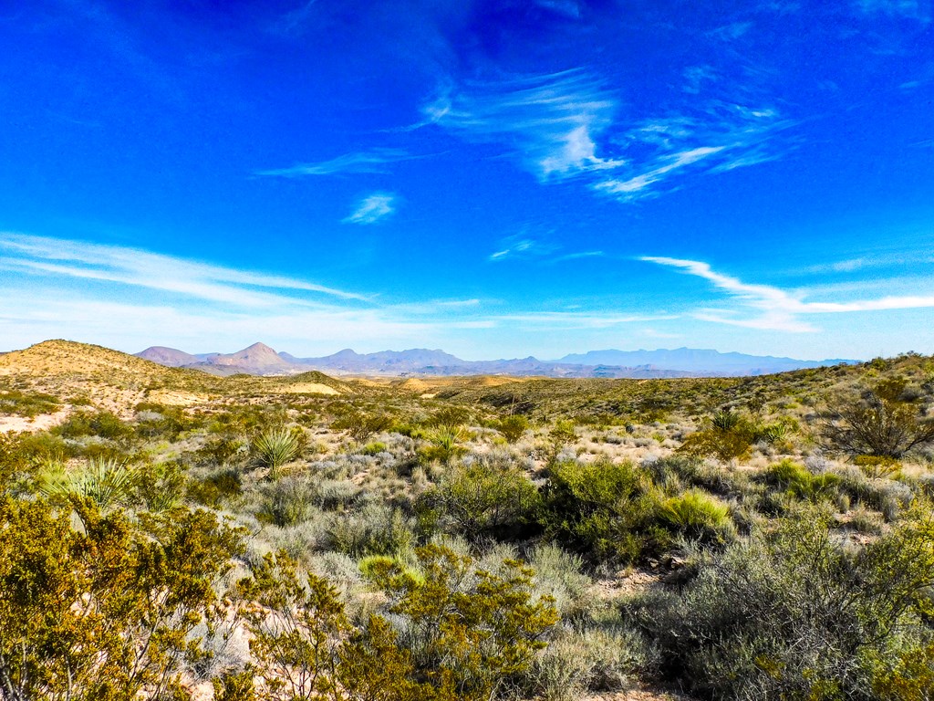 Land in Terlingua 5