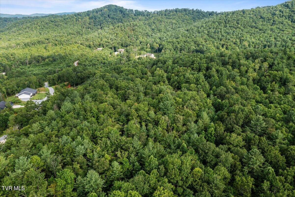 Land in Unicoi 3