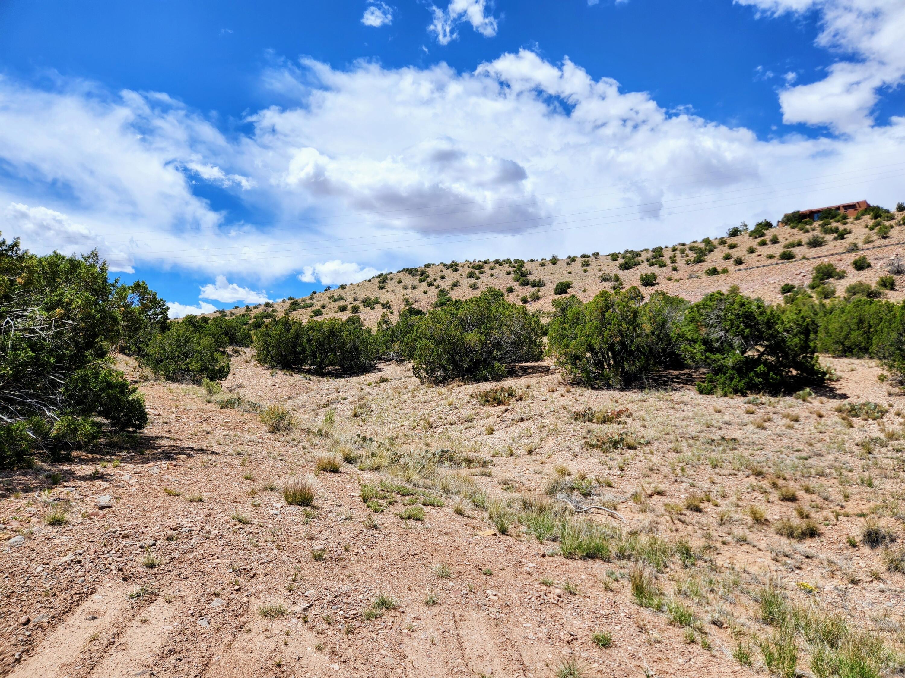 Land in Placitas 5