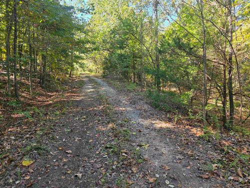 L10B4 Clatsop Cir, Cherokee Village, AR, 72529 | Card Image