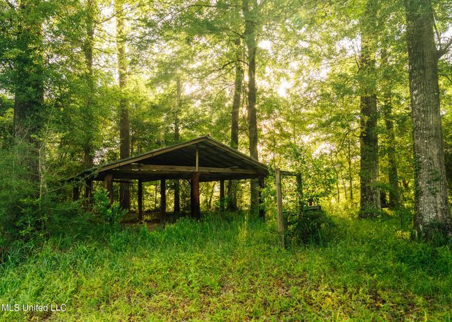BS 500 Greene County Pics-72 | Image 17