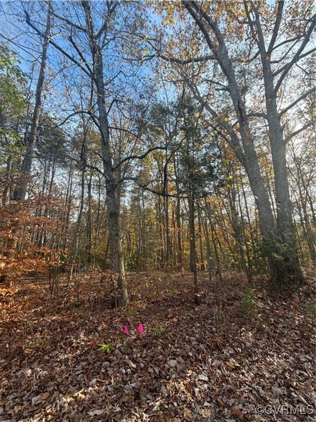 0 Broad Street Rd, Home with 0 bedrooms, 0 bathrooms and null parking in Gum Spring VA | Image 5
