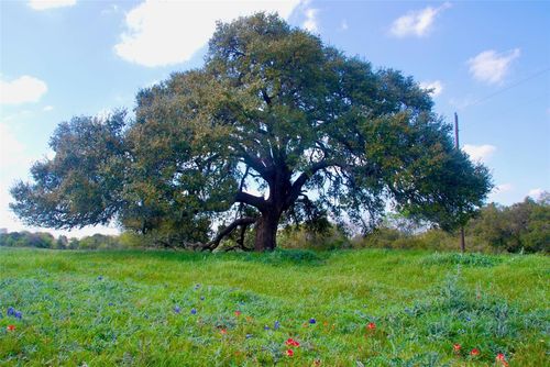 450 County Road 217c, Schulenburg, TX, 78956 | Card Image