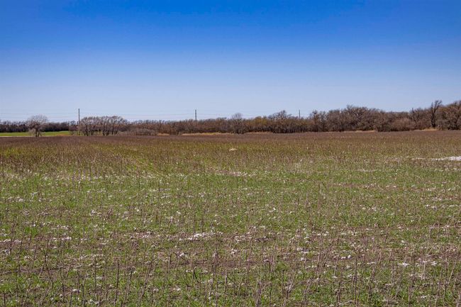 View of landscape with a rural view | Image 19