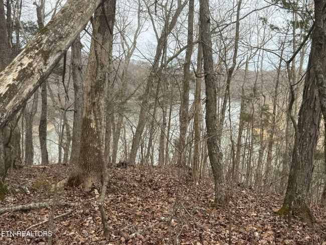 649 Garrett Town Ln, Home with 0 bedrooms, 0 bathrooms and null parking in Monroe TN | Image 23