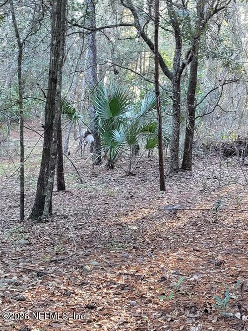 00 Beulah Church Road, Crescent City, FL, 32112 | Card Image