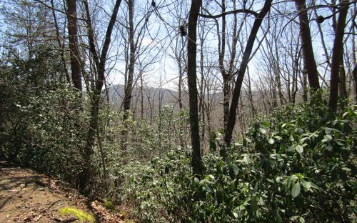 LT27 Mission Ridge Ct, Hayesville, NC, 28904 | Card Image