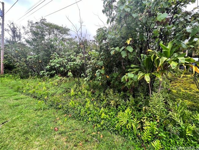 0 Wehelauniu St, Home with 0 bedrooms, 0 bathrooms and null parking in Pahoa HI | Image 6