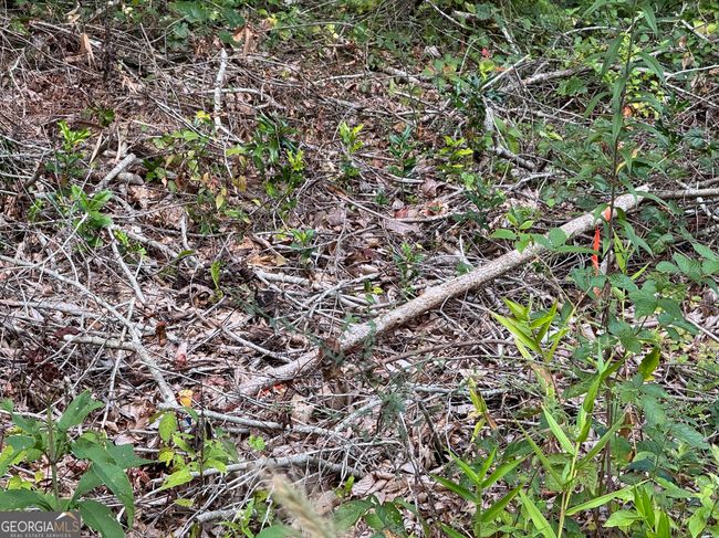 TRACT 2 Harbert Valley Rd, Home with 0 bedrooms, 0 bathrooms and null parking in Toccoa GA | Image 16