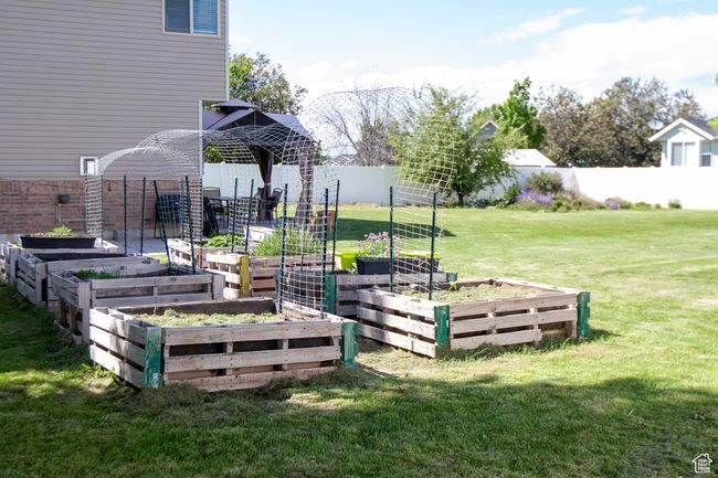 View of yard featuring raised garden beds | Image 33