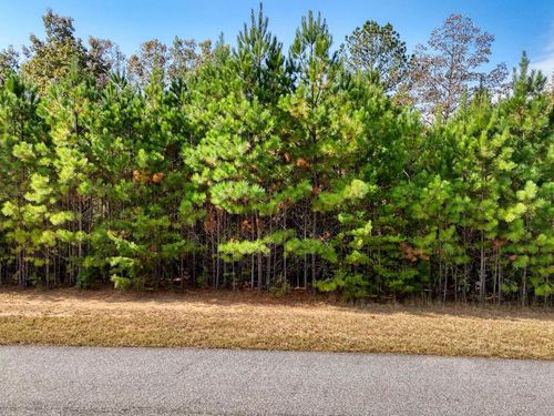 Lot 42 Water Oak Ln, Blairsville, GA, 30512-1803 | Card Image