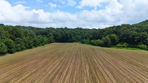 Tract 1 High Gap Road, Shoals, IN, 47581 | Card Image
