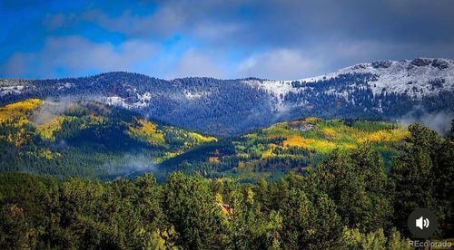 1682 Clark Rd, Bailey, CO, 80421-1212 | Card Image