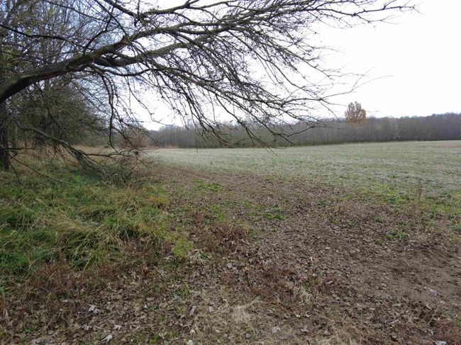 4080 Mitchell Rd, Home with 0 bedrooms, 0 bathrooms and null parking in Bedford IN | Image 29
