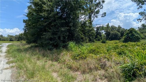 102 Wycoff Ave Ne, LAKE PLACID, FL, 33852 | Card Image