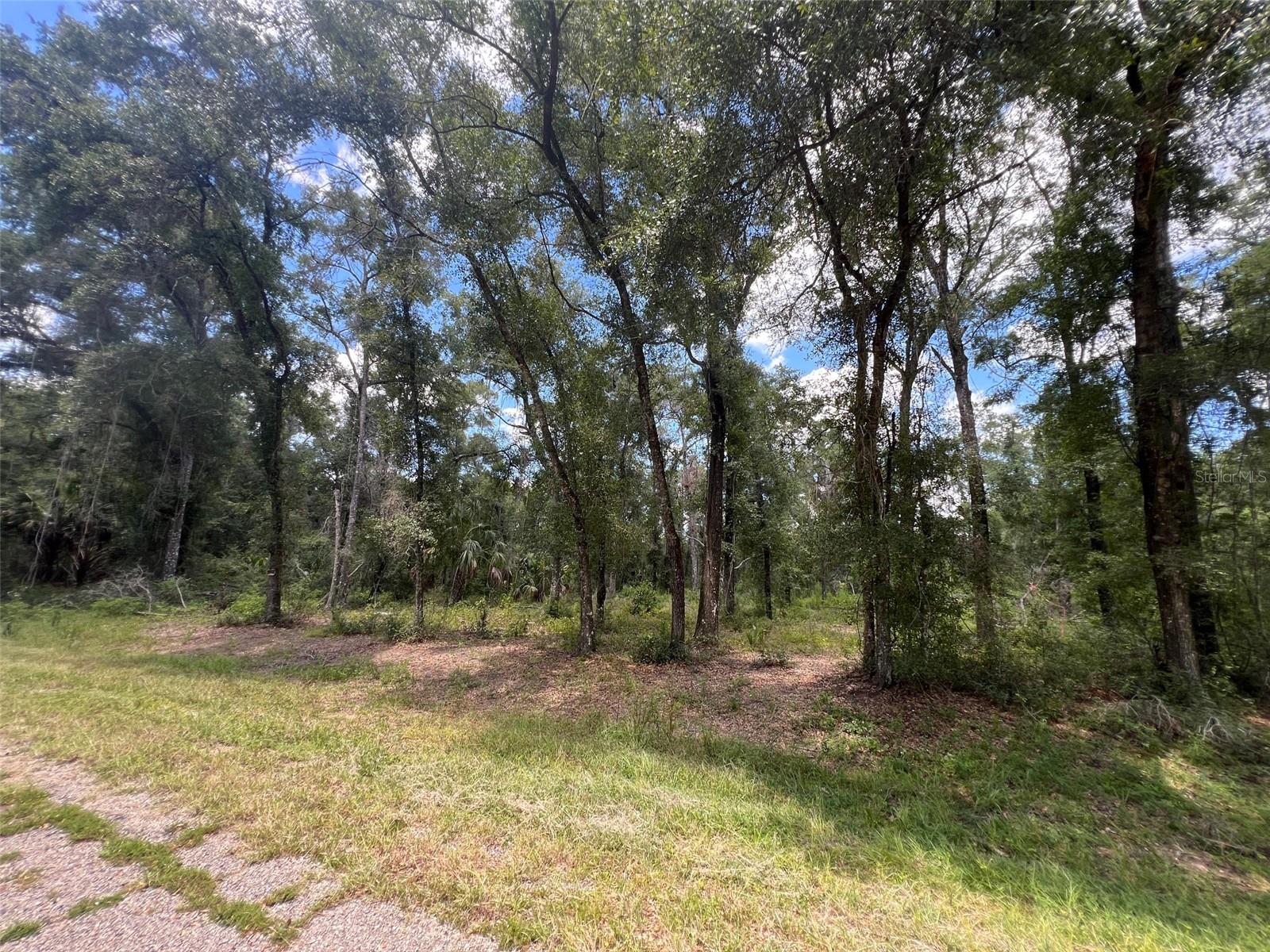 Land in DUNNELLON 4