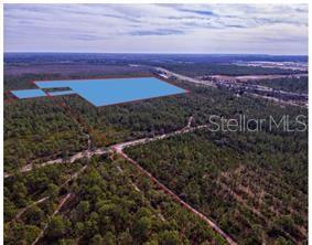 Land in ORLANDO 4