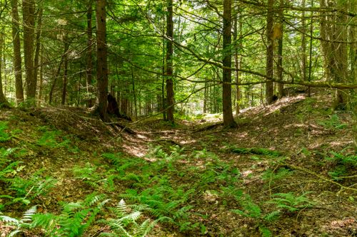 13-TBD Arbor Lane, Duxbury, VT, 05660 | Card Image