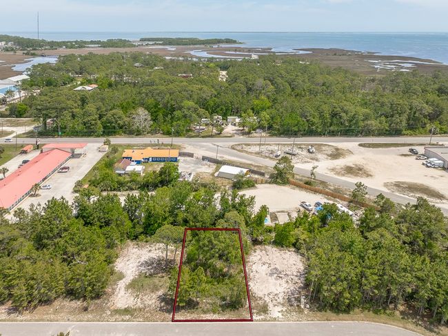 1616 Sea Breeze Way, Home with 0 bedrooms, 0 bathrooms and null parking in Carrabelle FL | Image 7