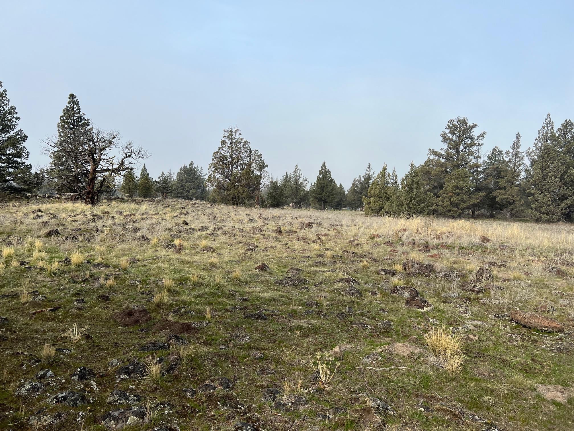 Land in Montague 3