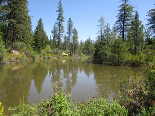 16289 Badger Hill Rd, Nevada City, CA, 95959-8000 | Card Image