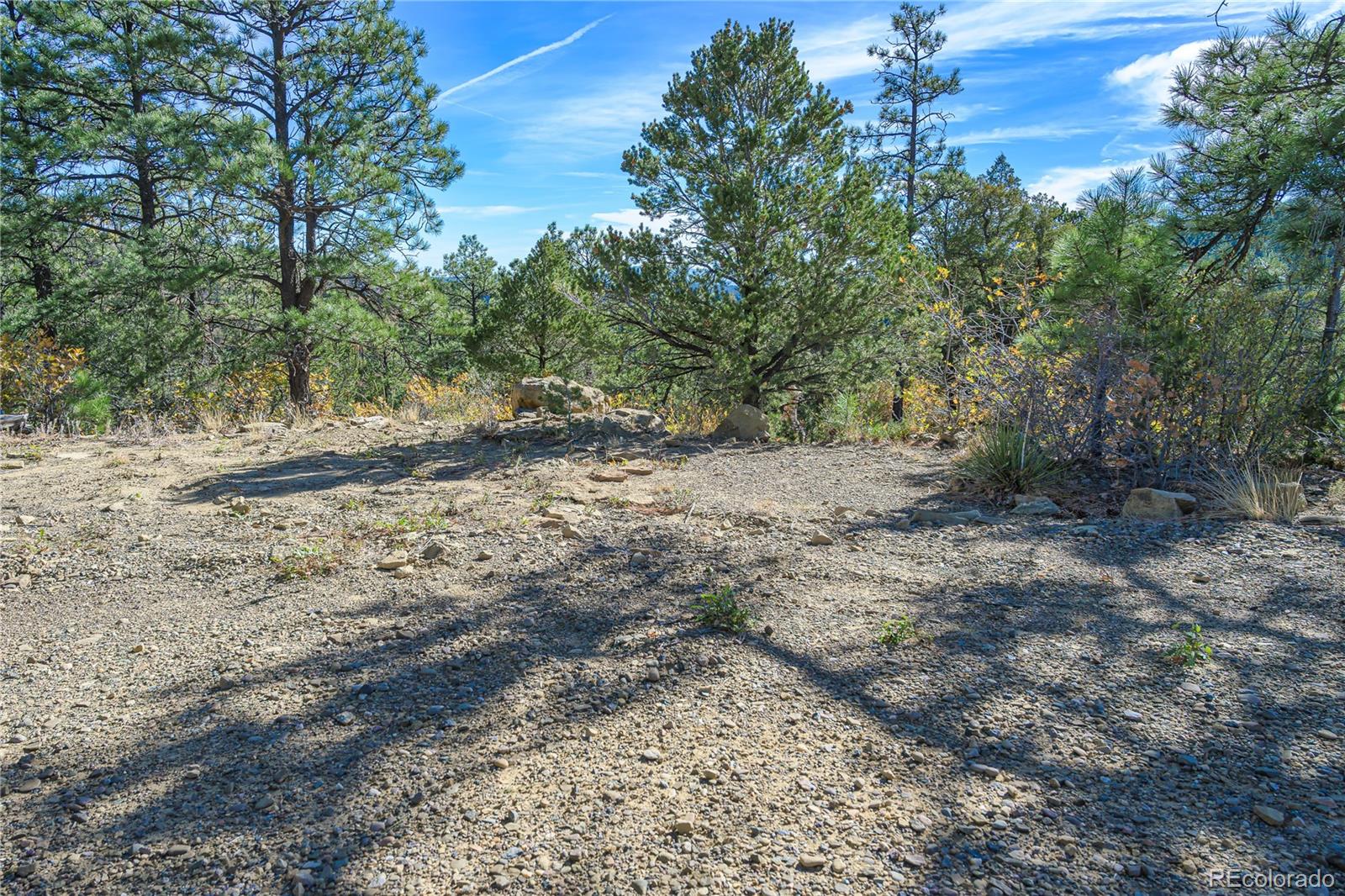 Land in Weston 4