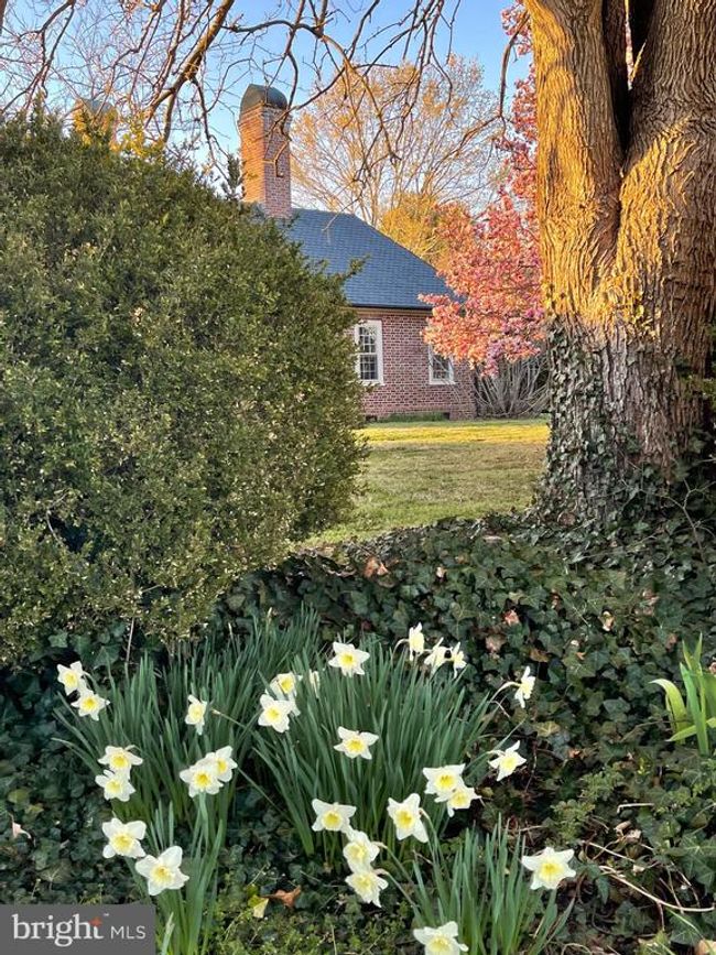 2494 Simonson Rd, House other with 4 bedrooms, 3 bathrooms and null parking in Farnham VA | Image 119