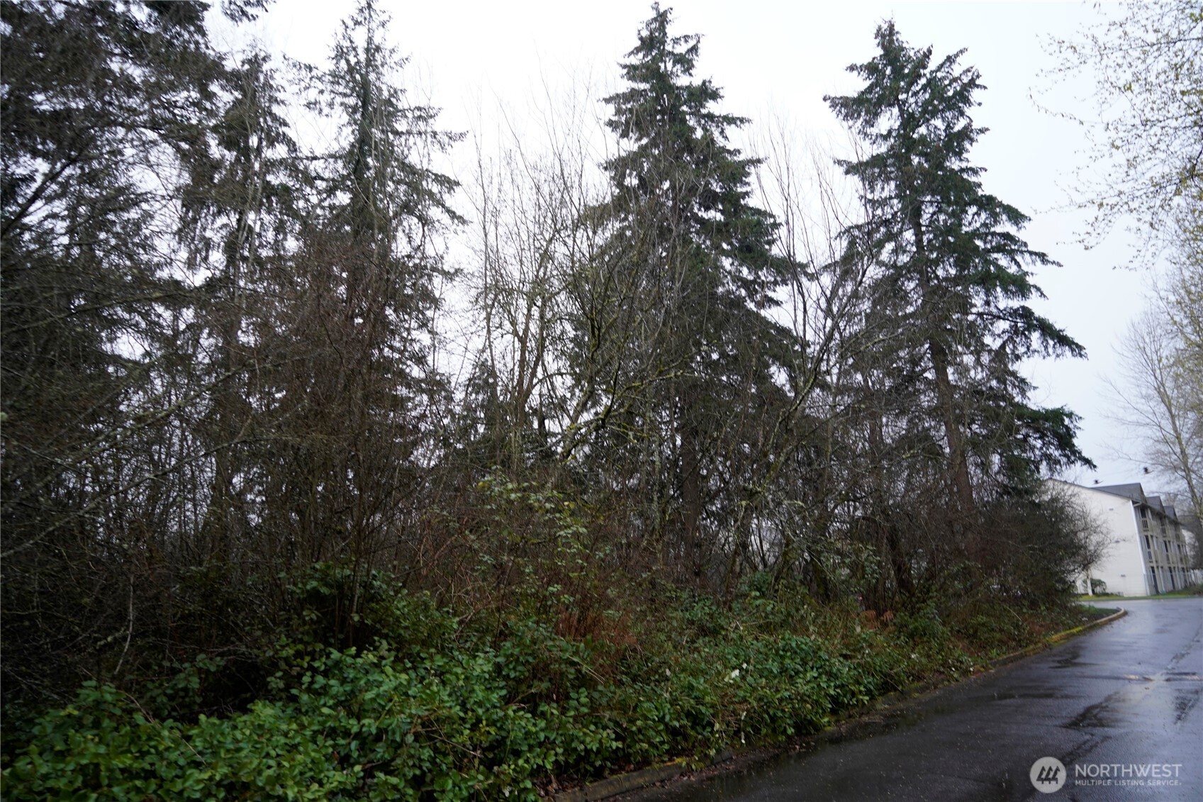 Land in Tacoma 3