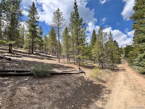66 Ponderosa Dr, Leadville, CO, 80461 | Card Image