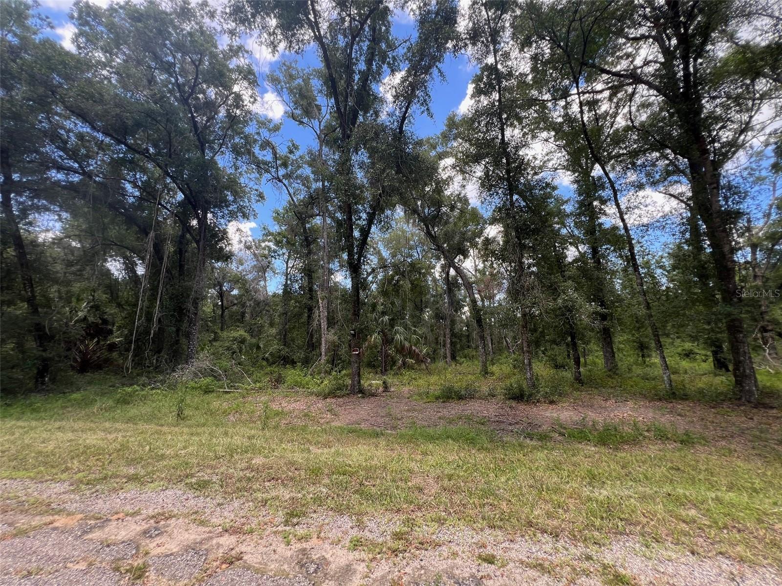 Land in DUNNELLON 2