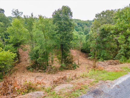 102 Stone Bridge Dr, Dandridge, TN, 37725 | Card Image