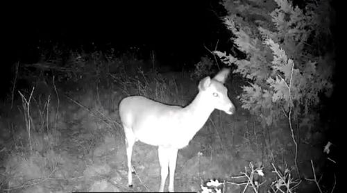 000 -18-05n-08w-1-027-00, Cement, OK, 73017 | Card Image