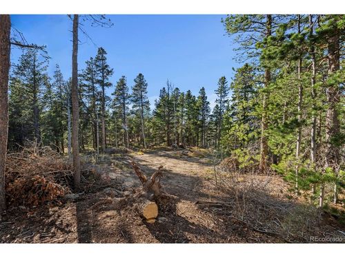 0 Severance Lodge Rd, Black Hawk, CO, 80422 | Card Image