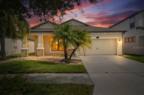 11648 Palmetto Pine St, RIVERVIEW, FL, 33569-6224 | Card Image