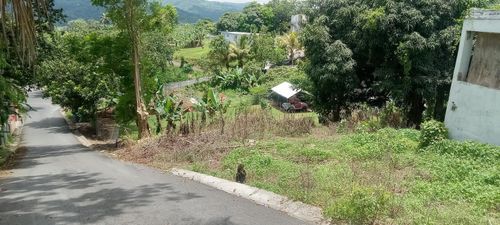 Carr. 435 Comunidad Perchas Ii, Calle Zafiro, San Sebastian, PR, 00685 | Card Image