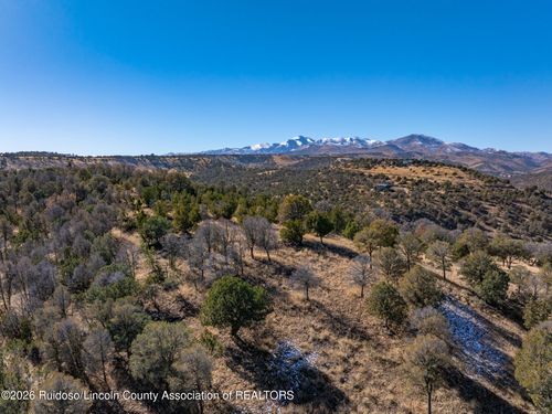 Lot 117 Sandesta Dr, Alto, NM, 88312-9572 | Card Image